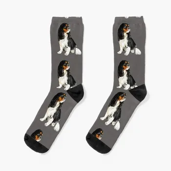 Чорапи Cavalier King Charles Spaniel Tri Elegance, подарък за коледа, мини футболни чорапи за мъже и жени